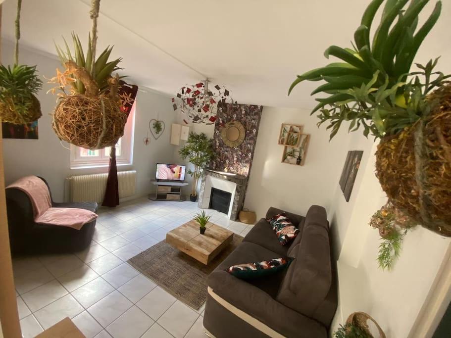 Detente Tropicale Dijon